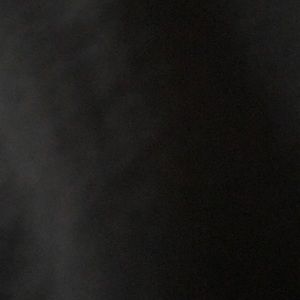 Meet your Posher, Wayne